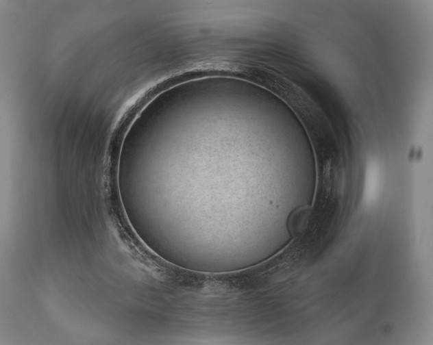 X0000110960388200906191317