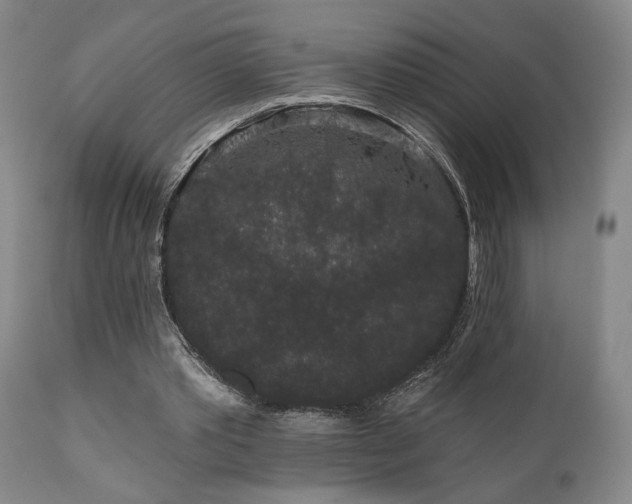 X0000110960389200906191317