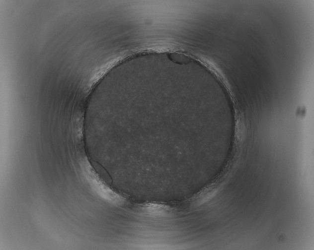 X0000110960393200906191317