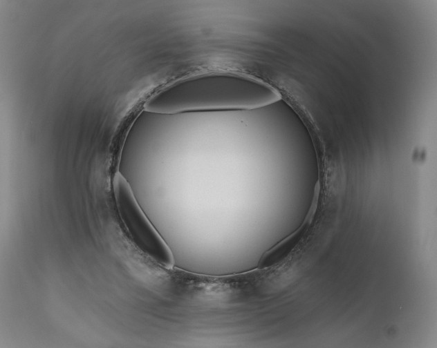 X0000110960395200906191317