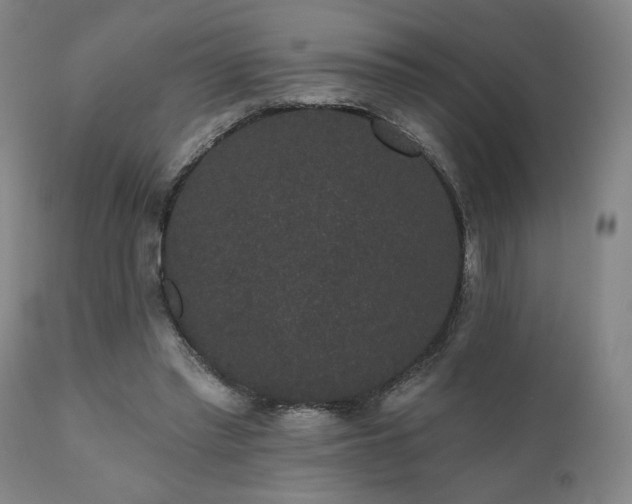 X0000110960397200906191317