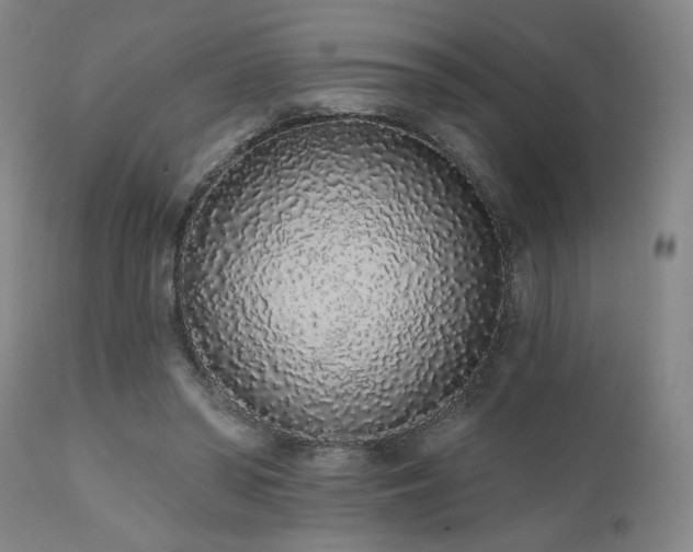 X0000110960398200906191317