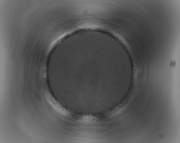 X0000110960399200906191317