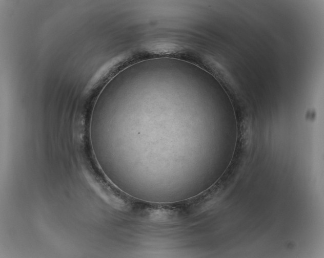 X0000110960400200906191317