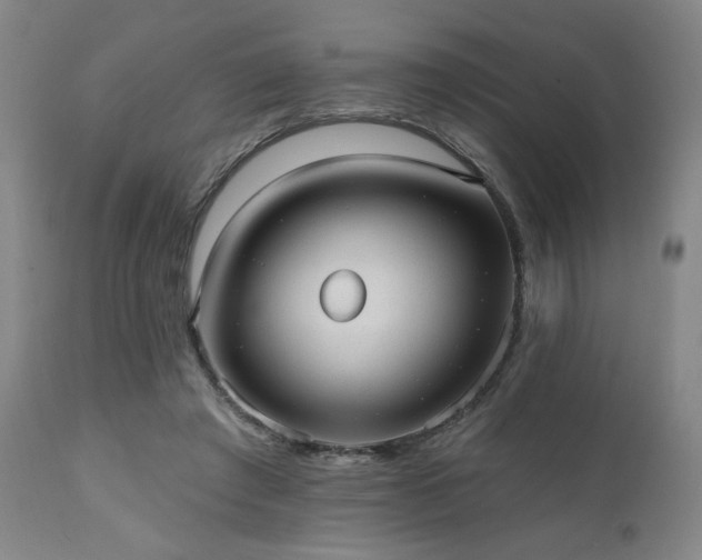 X0000110960401200906191317