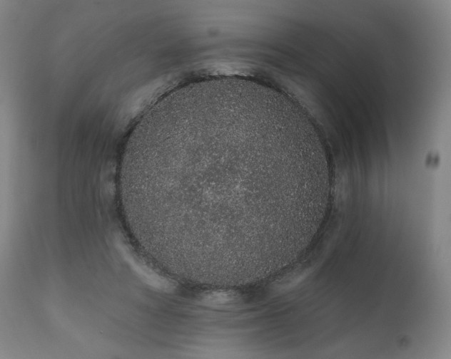 X0000110960402200906191317