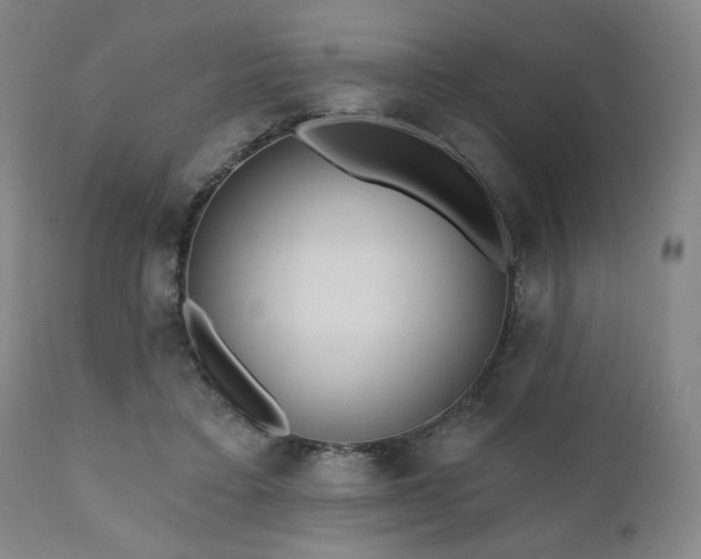 X0000110960403200906191317