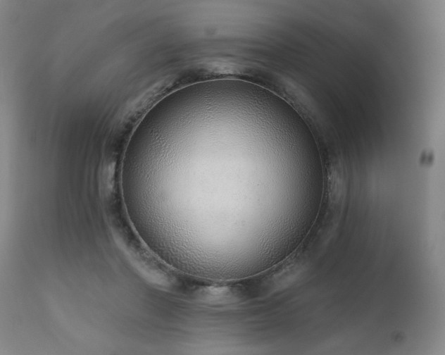 X0000110960406200906191317