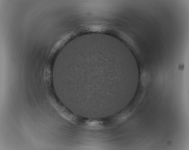 X0000110960407200906191317