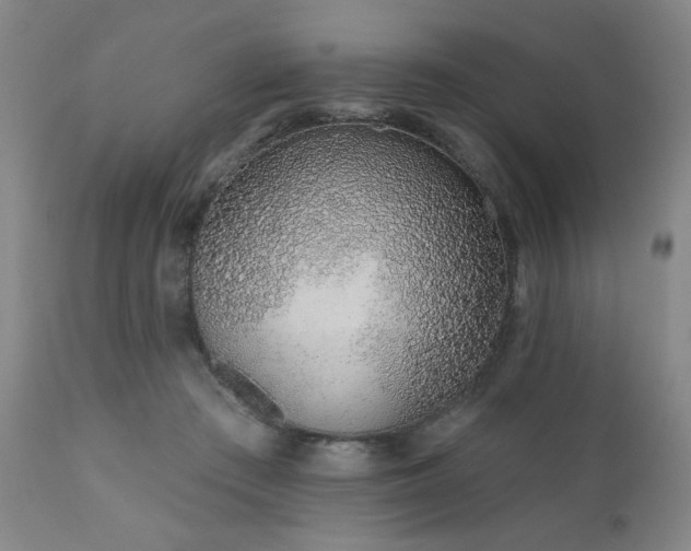 X0000110960409200906191317