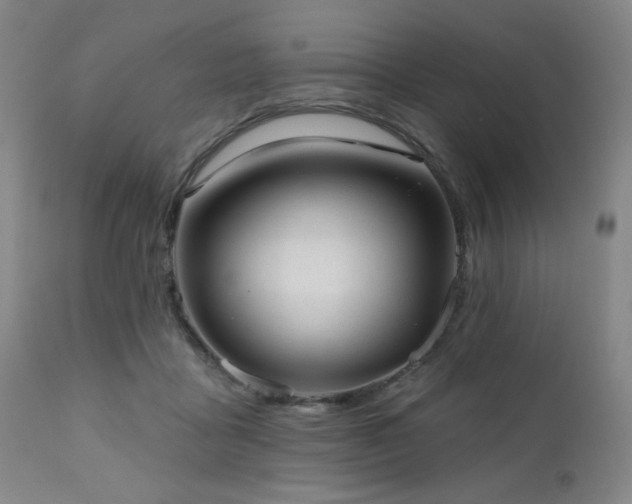 X0000110960411200906191317