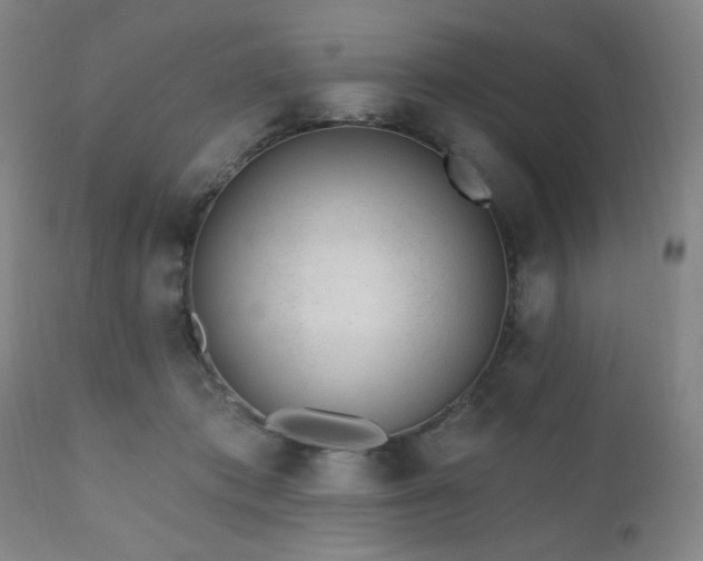 X0000110960413200906191317