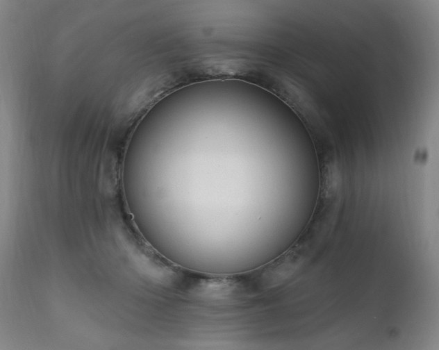 X0000110960414200906191317