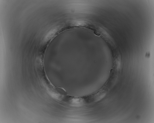 X0000110960415200906191317