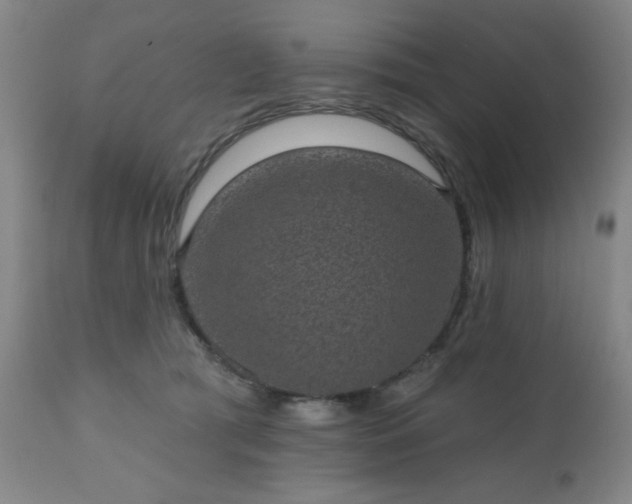 X0000110960417200906191317