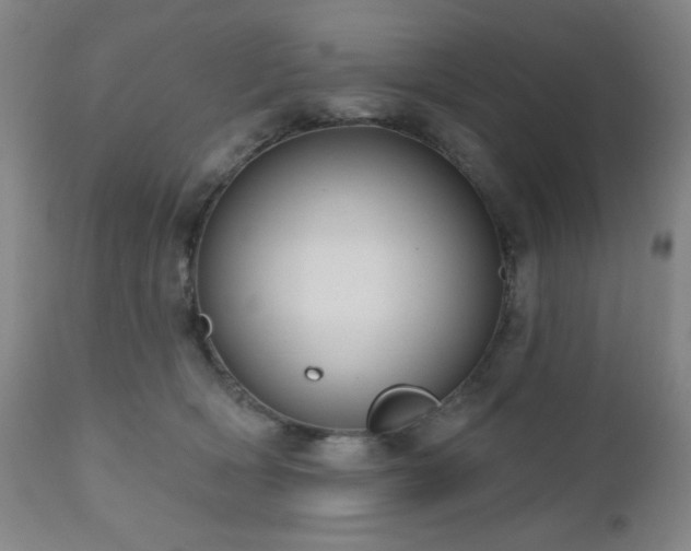 X0000110960418200906191317