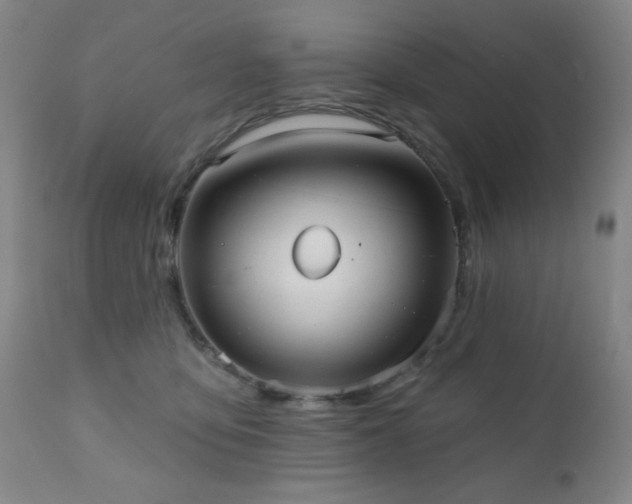 X0000110960419200906191317