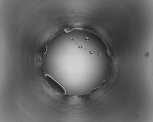 X0000110960421200906191317