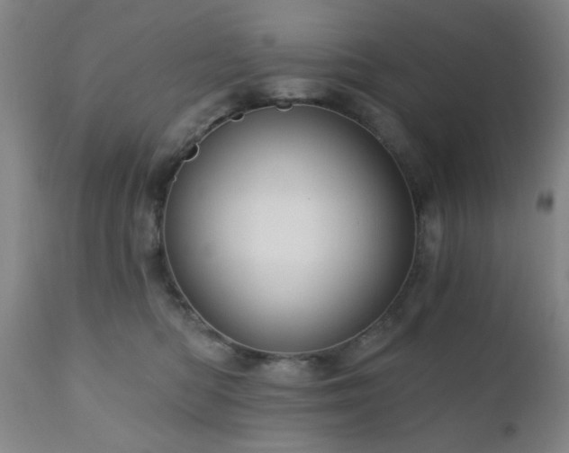 X0000110960422200906191317