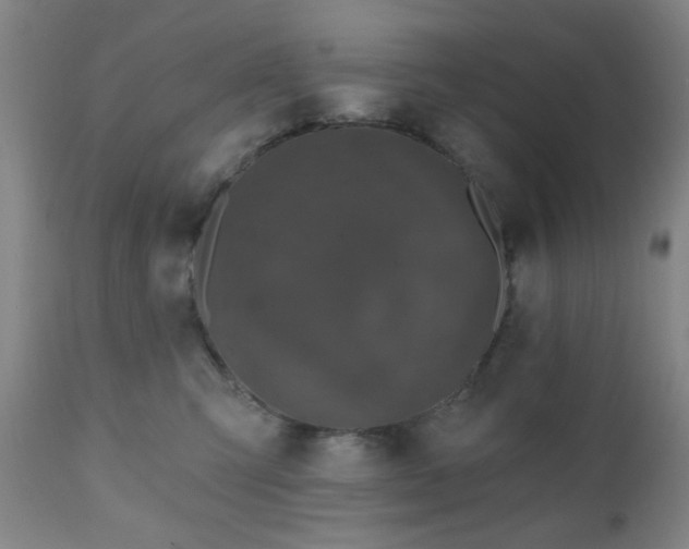 X0000110960423200906191317