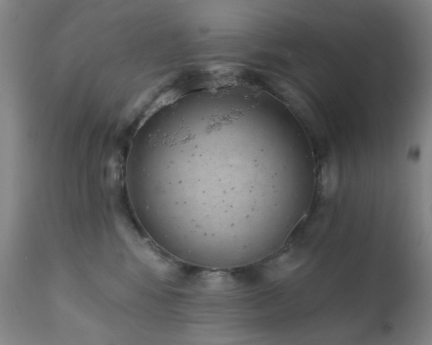 X0000110960424200906191317