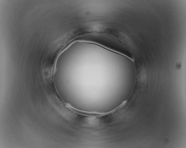 X0000110960425200906191317