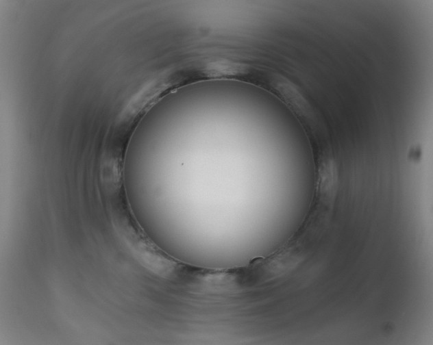 X0000110960426200906191317