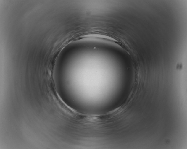 X0000110960427200906191317