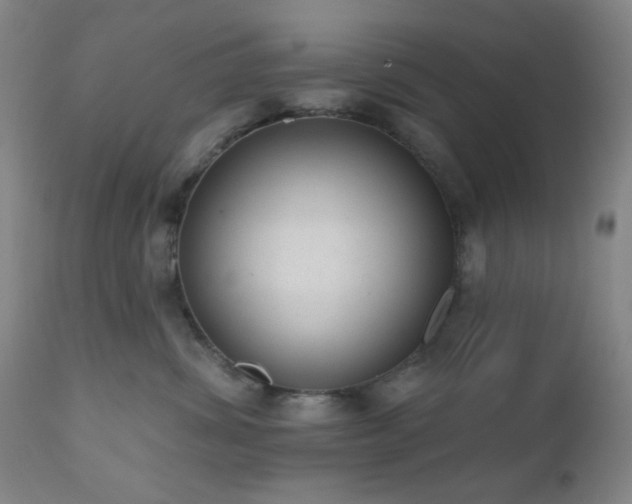 X0000110960428200906191316