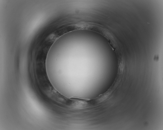 X0000110960429200906191316