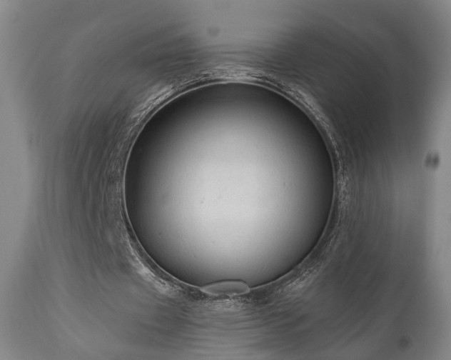 X0000110960433200906191316