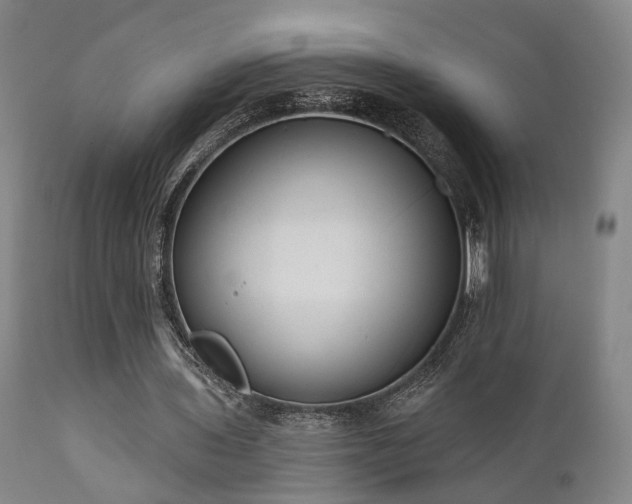 X0000110960435200906191316