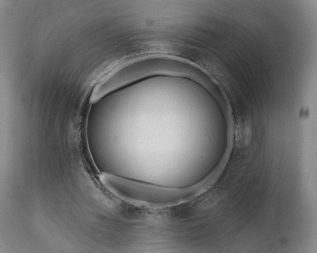 X0000110960436200906191316
