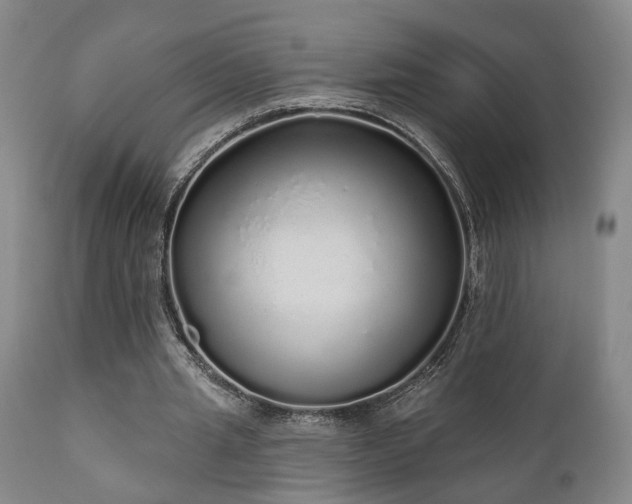 X0000110960437200906191316