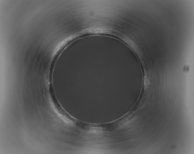 X0000110960438200906191316