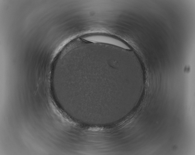 X0000110960440200906191316