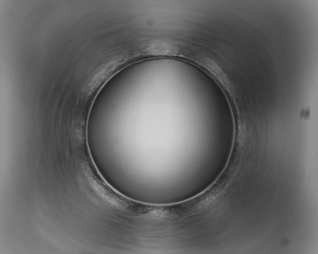 X0000110960441200906191316