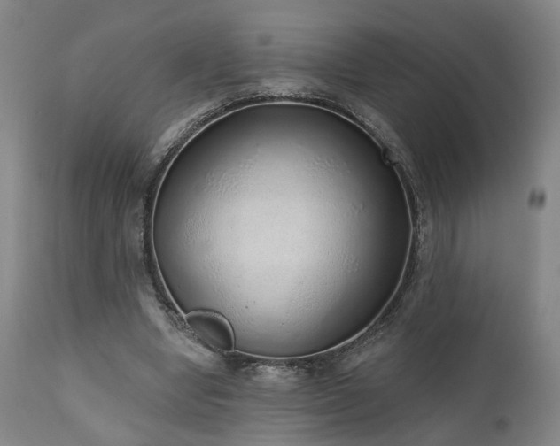 X0000110960442200906191316