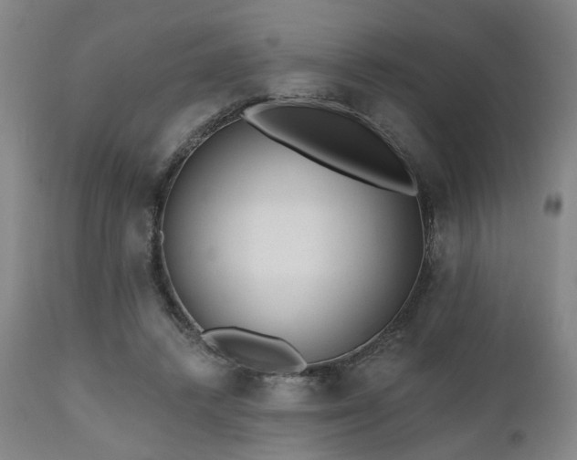 X0000110960448200906191316