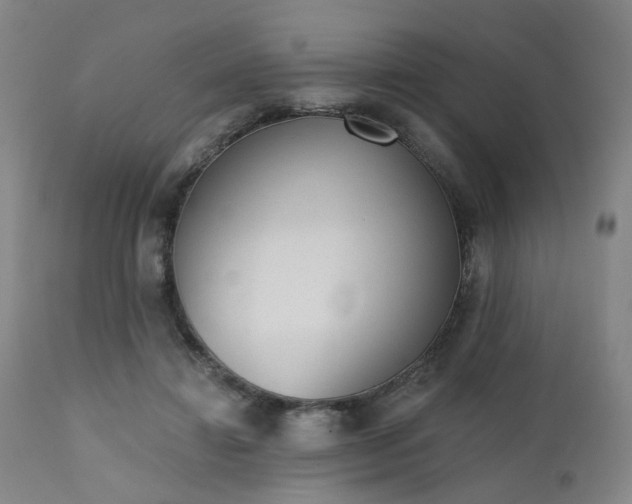 X0000110960452200906191316