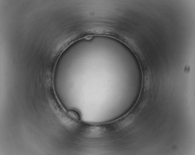 X0000110960453200906191316