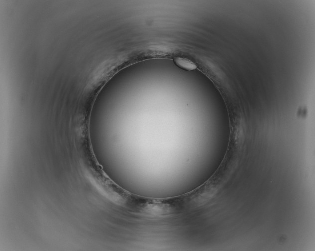 X0000110960455200906191316