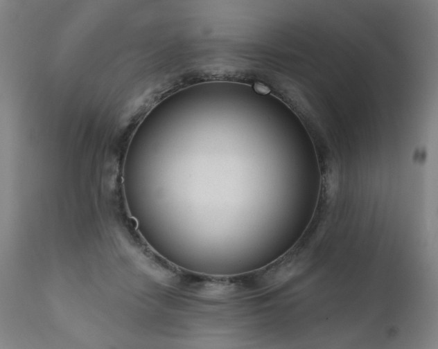 X0000110960458200906191316