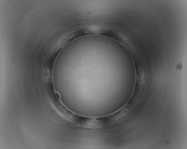 X0000110960459200906191316