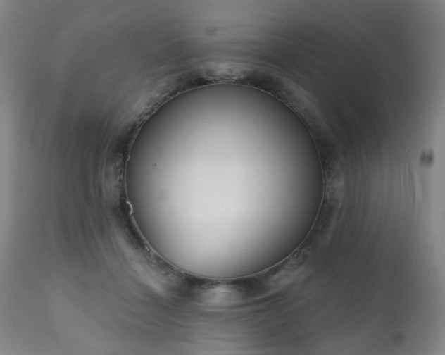 X0000110960460200906191316