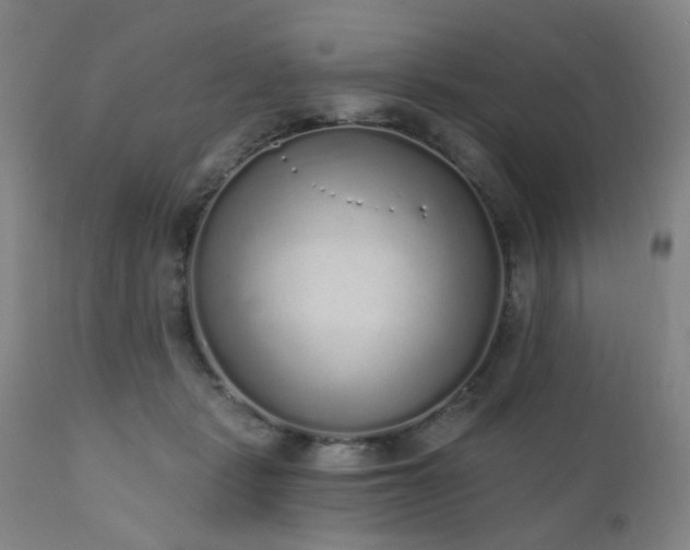 X0000110960461200906191316