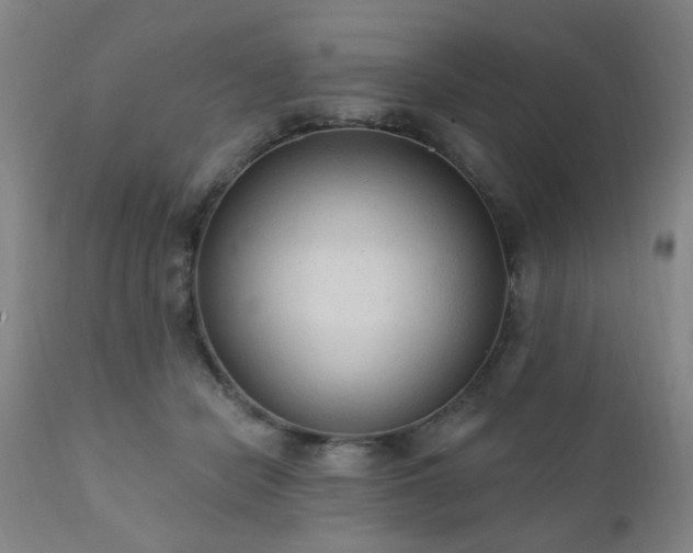 X0000110960462200906191316