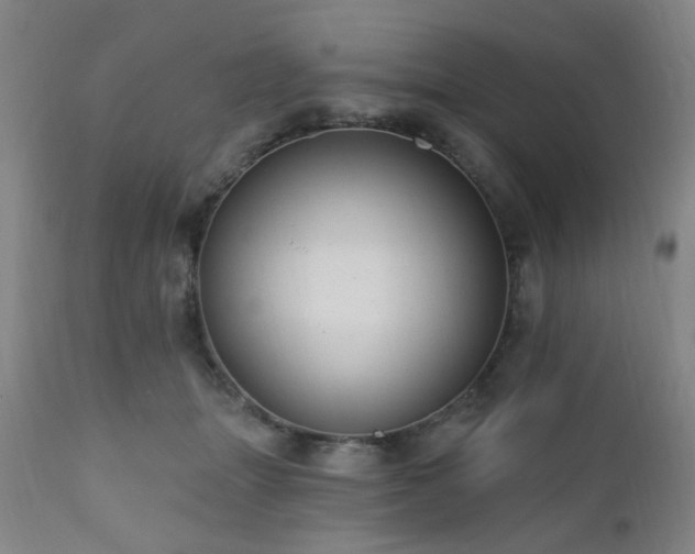 X0000110960463200906191316