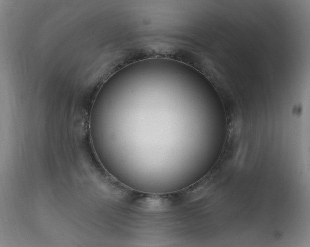 X0000110960464200906191316
