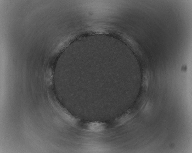 X0000110960465200906191316